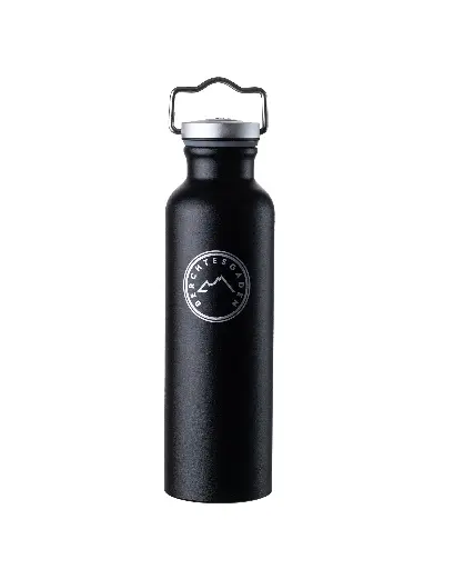 [1095] Sigg Flasche